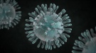 Рекомендации по профилактикe новой коронавирусной инфекции (C0VID-19) среди работников