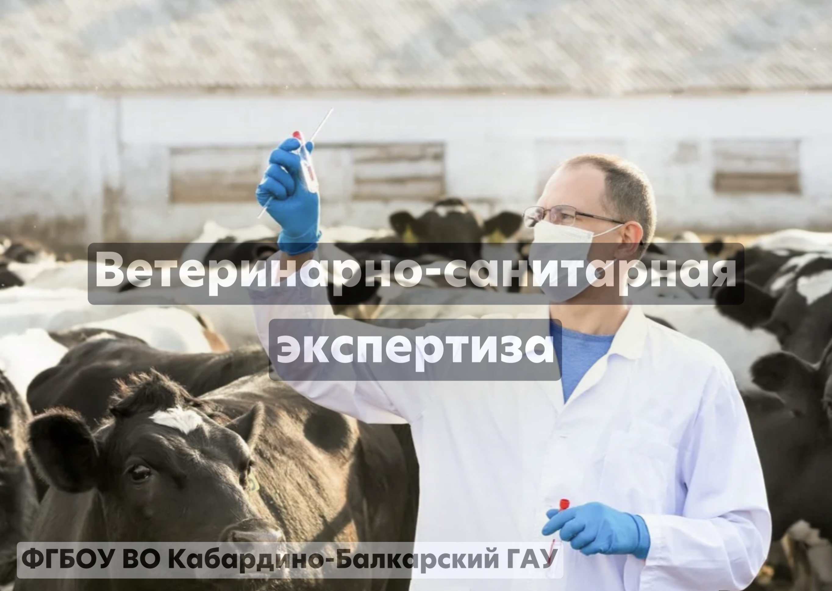Ветеринарно-санитарная экспертиза 