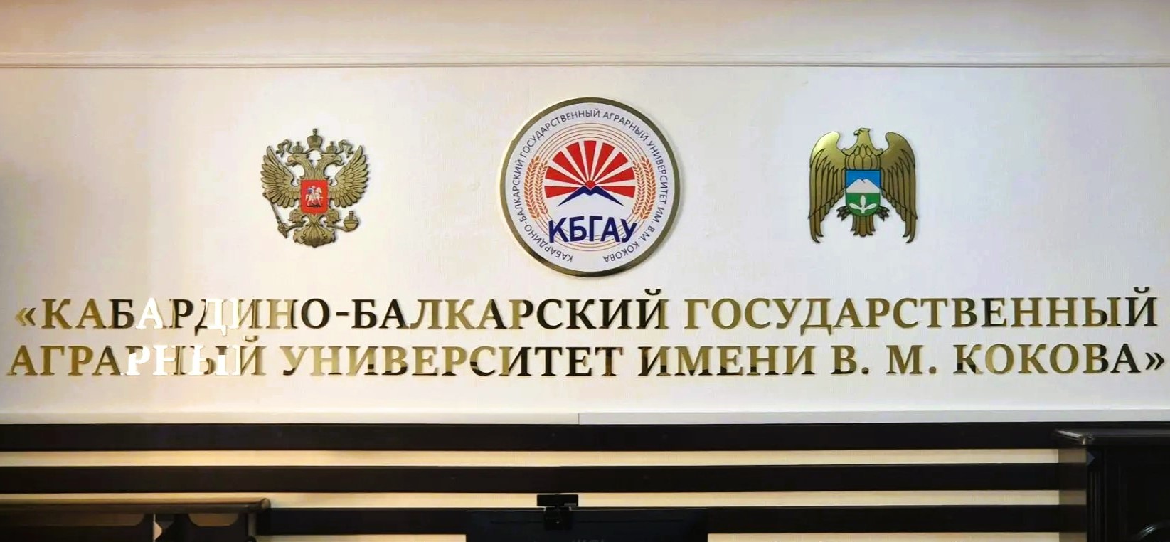 Кабардино-Балкарский государственный аграрный университет имени В.М. Кокова получил лицензию на осуществление образовательной деятельности по направлению подготовки 40.03.01 «Юриспруденция (профиль аграрно-правовой)» 