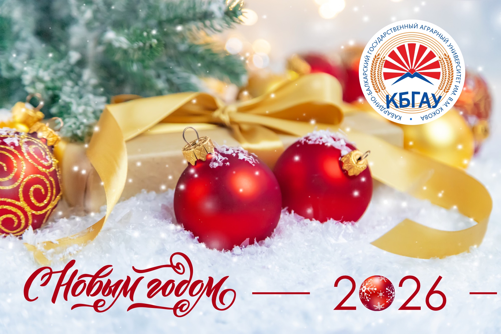 Поздравление с наступающим Новым годом ректора Заурби Шхагапсоева