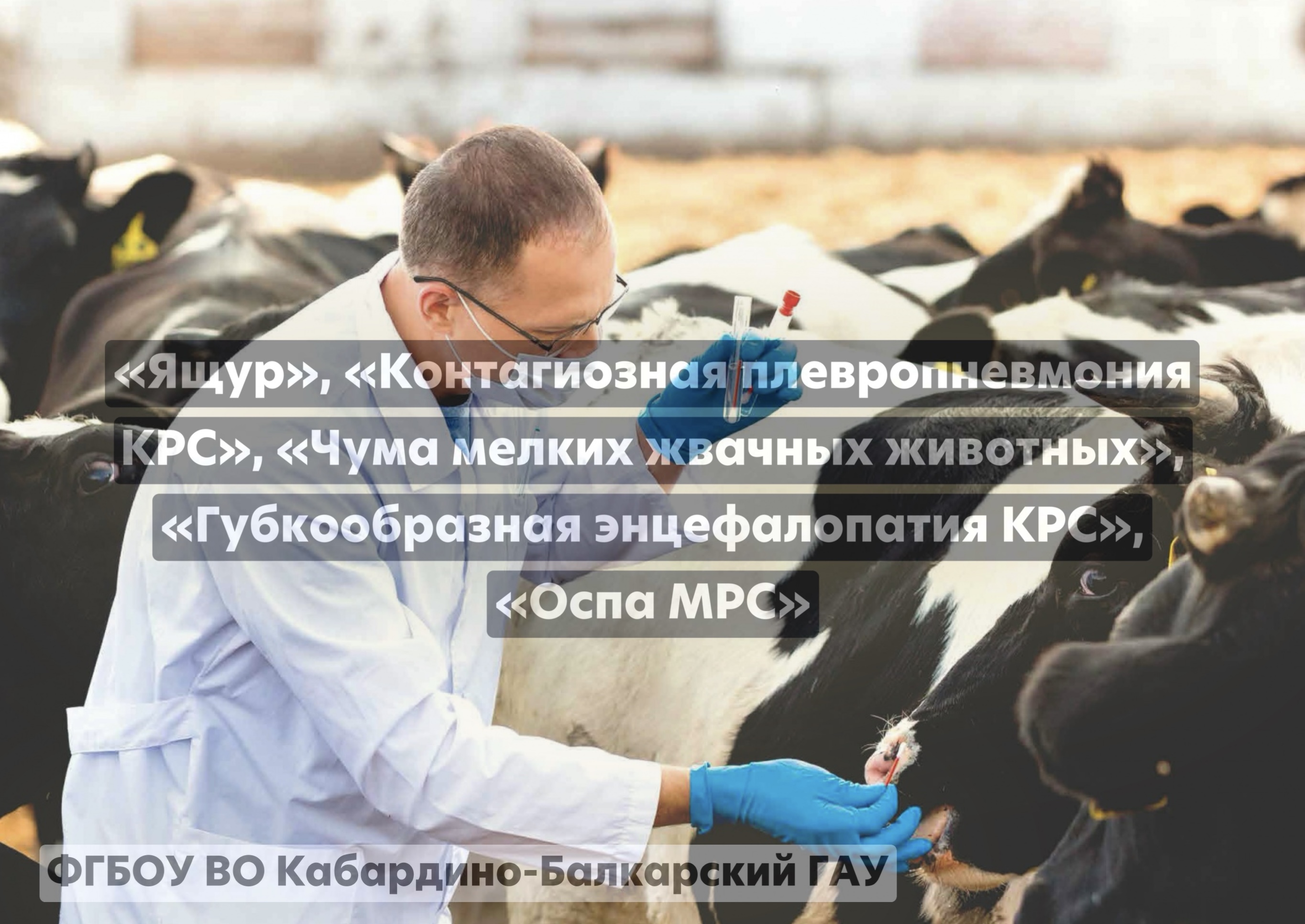 «Ящур», «Контагиозная плевропневмония КРС», «Чума мелких жвачных животных», «Губкообразная энцефалопатия КРС», «Оспа МРС» 