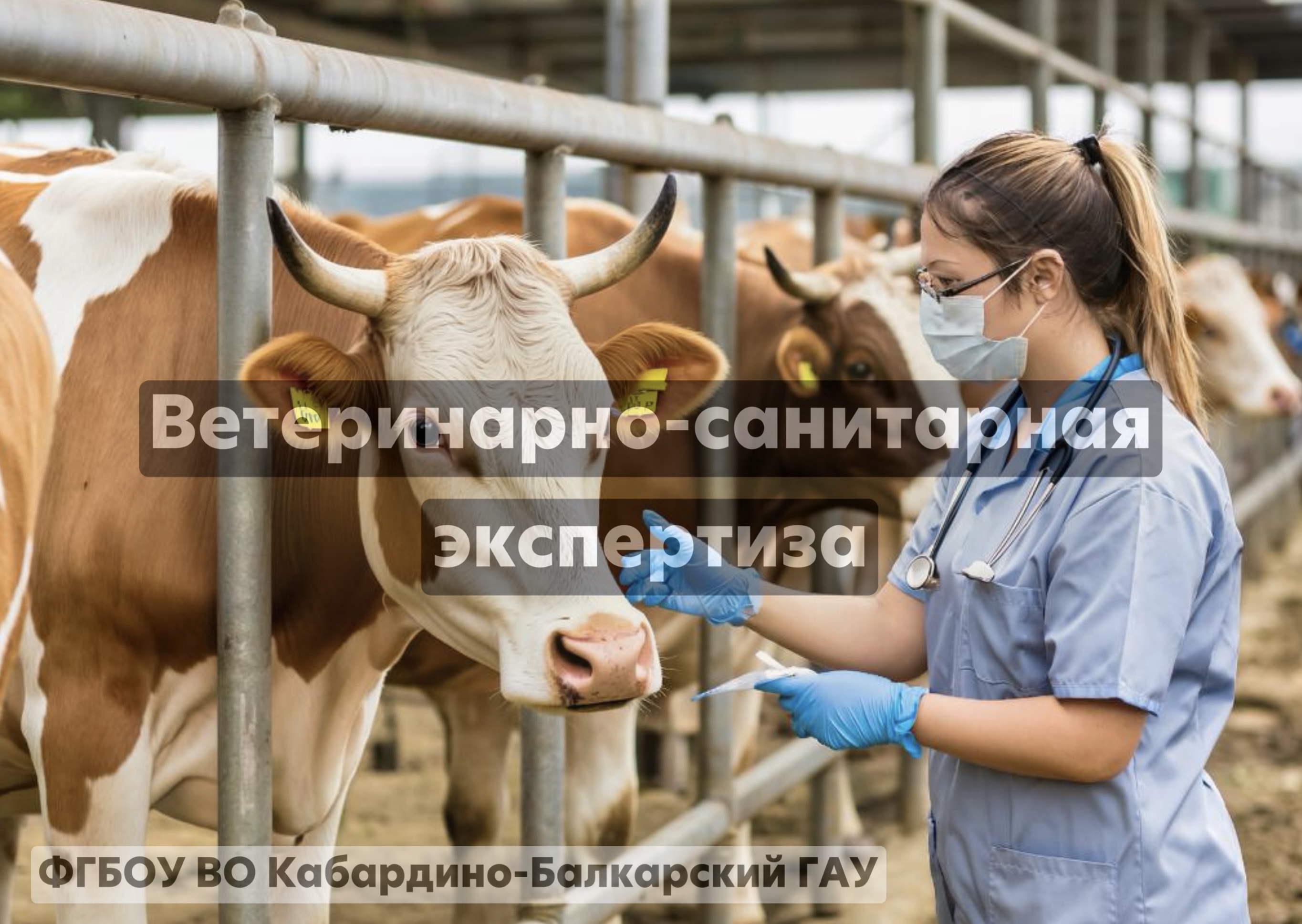 Ветеринарно-санитарная экспертиза 