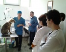 10 и 11 февраля в лечебных  ветеринарных клиниках на базе факультета «Ветеринарная медицина и биотехнология» проведены мастер-классы