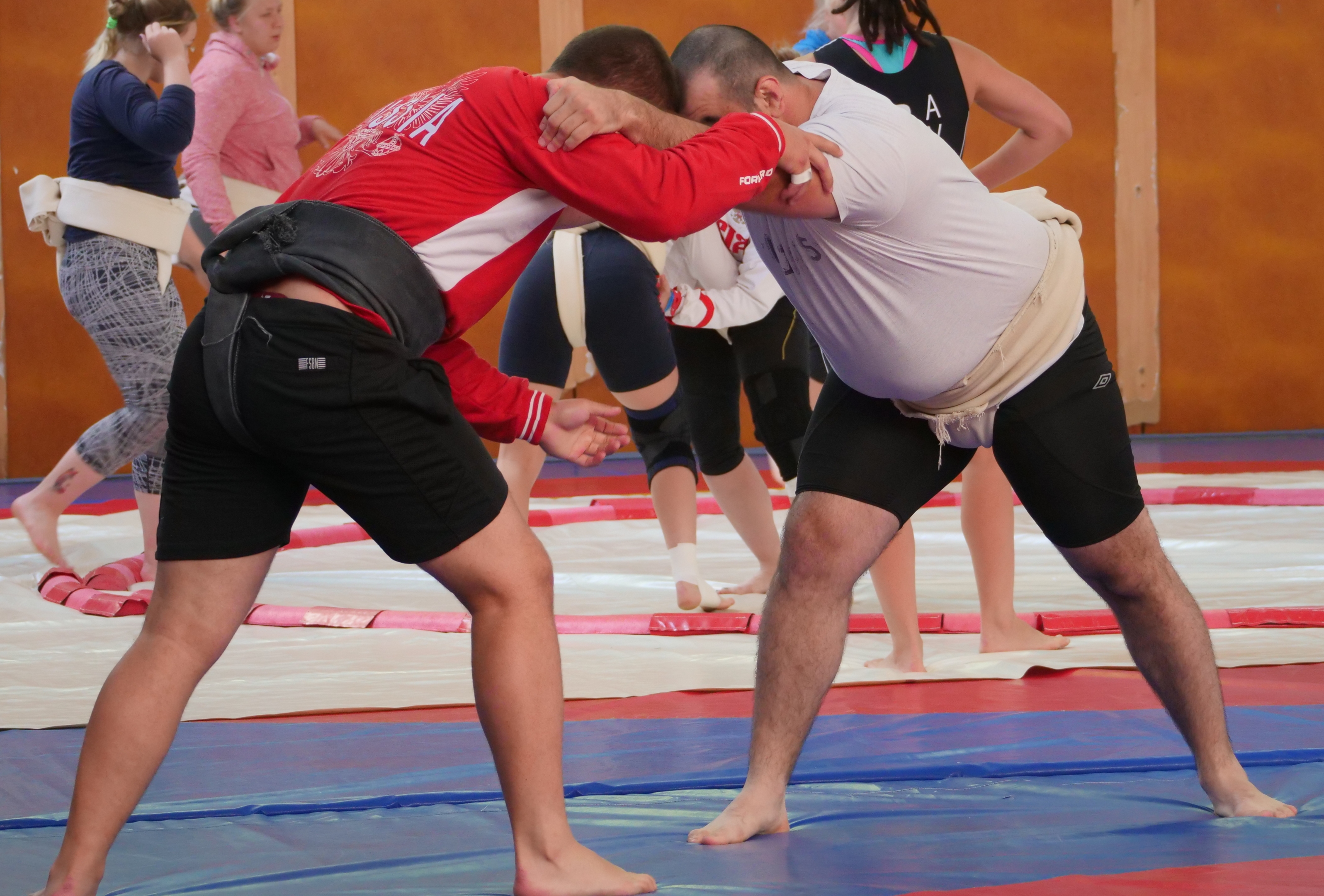 Заурби Аргашоков прошёл обучение по сертификации судей  Международной федерации сумо