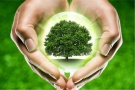 21 марта - Международный день лесов