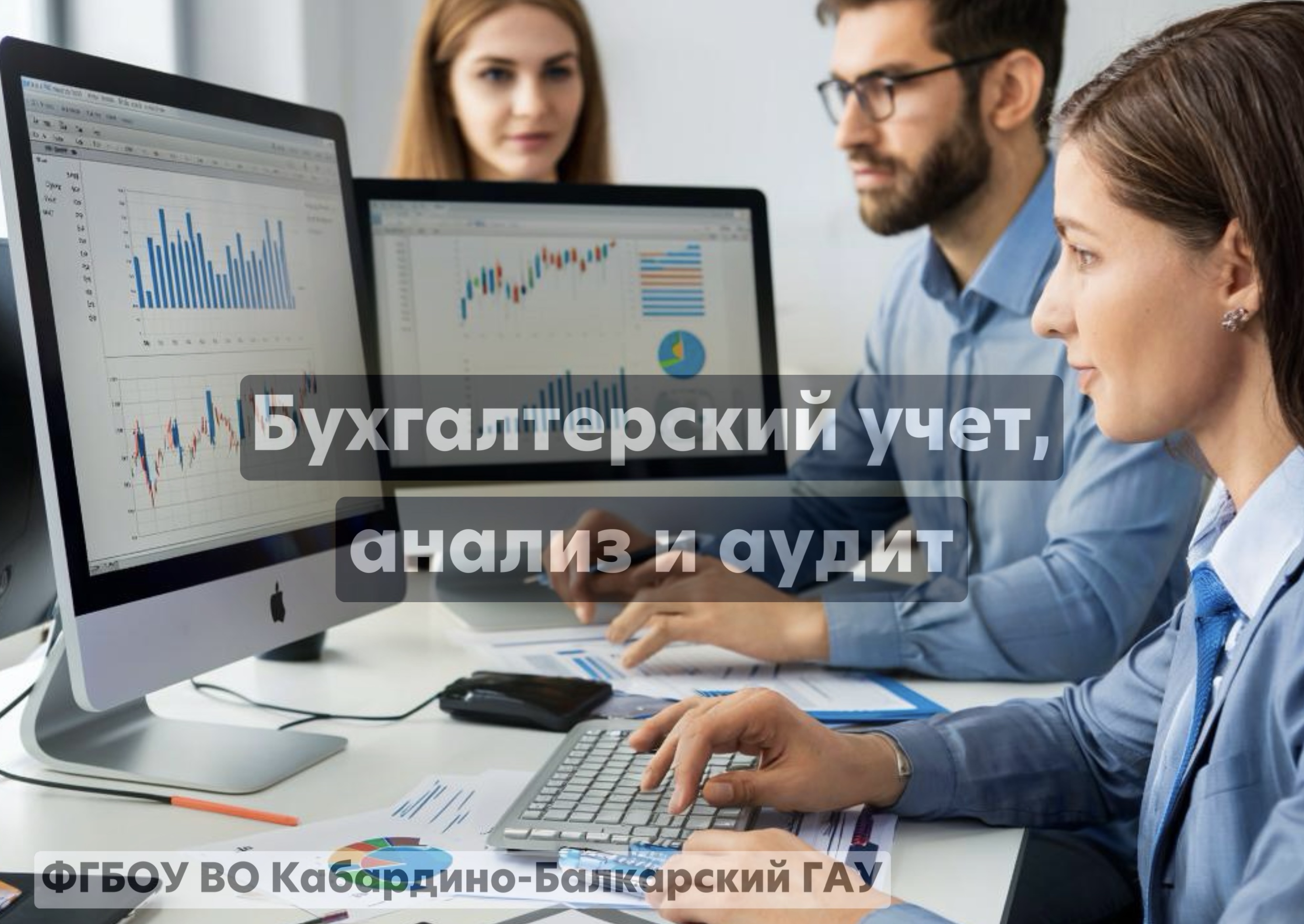 Бухгалтерский учет, анализ и аудит 