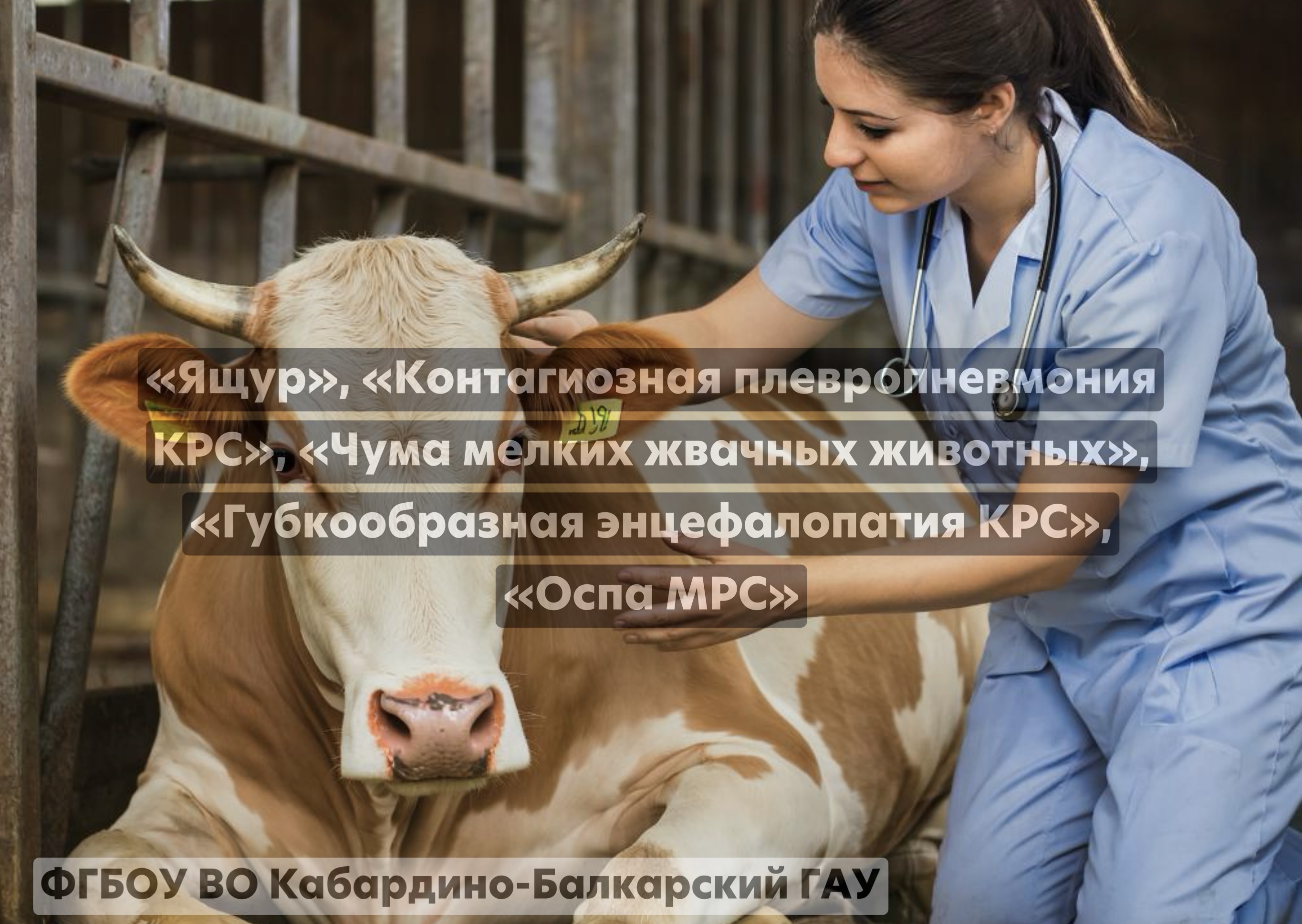«Ящур», «Контагиозная плевропневмония КРС», «Чума мелких жвачных животных», «Губкообразная энцефалопатия КРС», «Оспа МРС» 