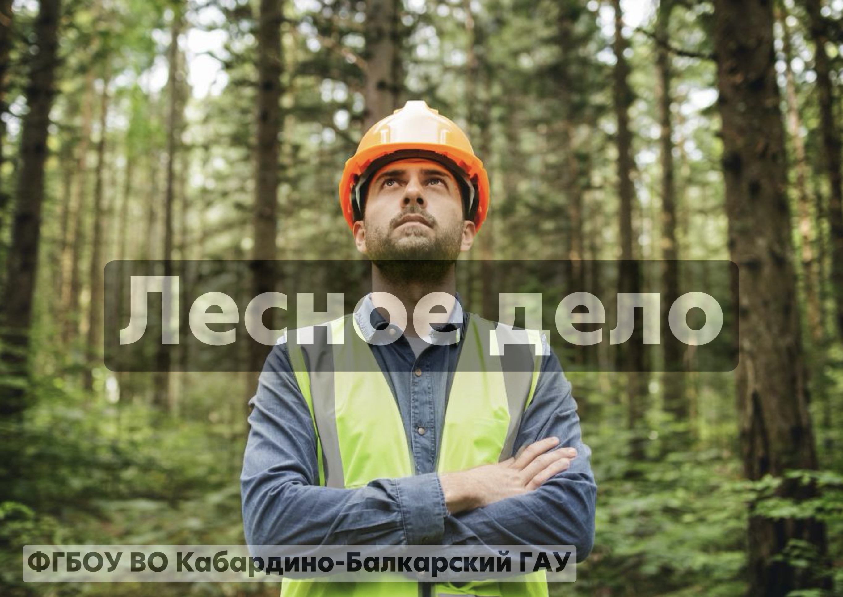 Лесное дело
