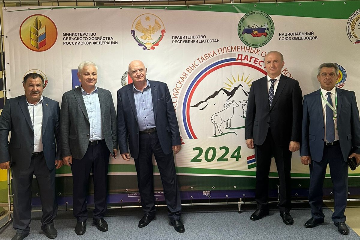 В Республике Дагестан представили передовые достижения овцеводства