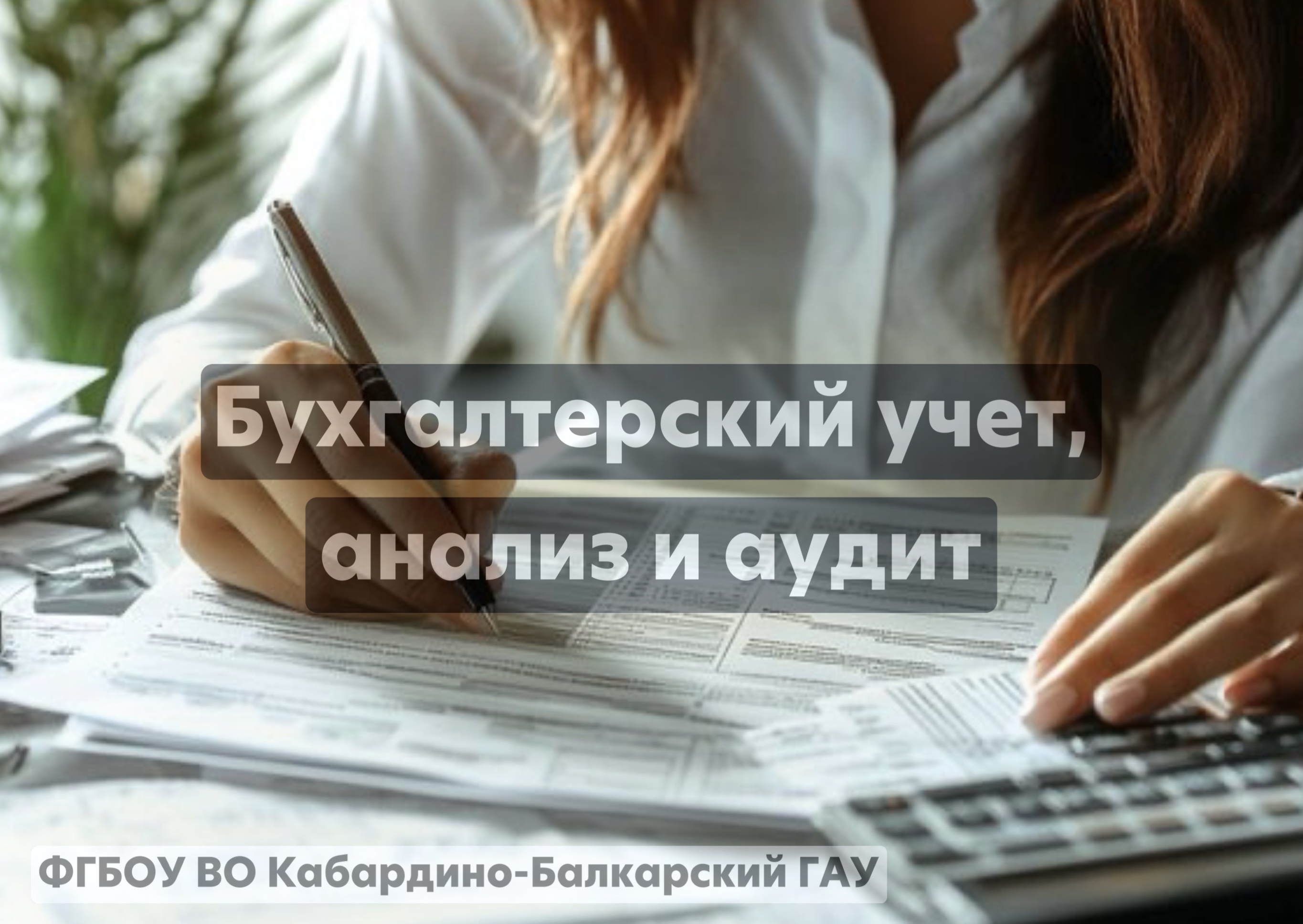 Бухгалтерский учет, анализ и аудит 