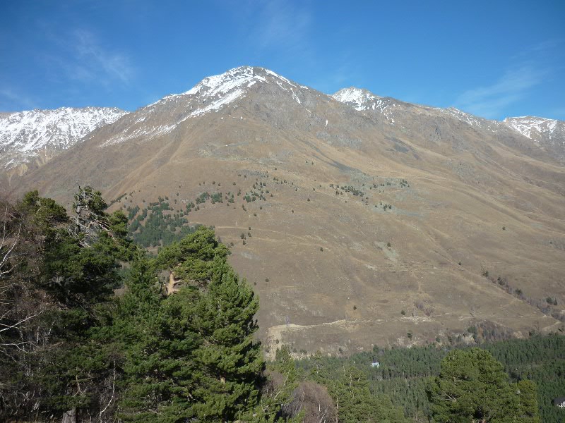 P1100317.JPG P1100317.JPG