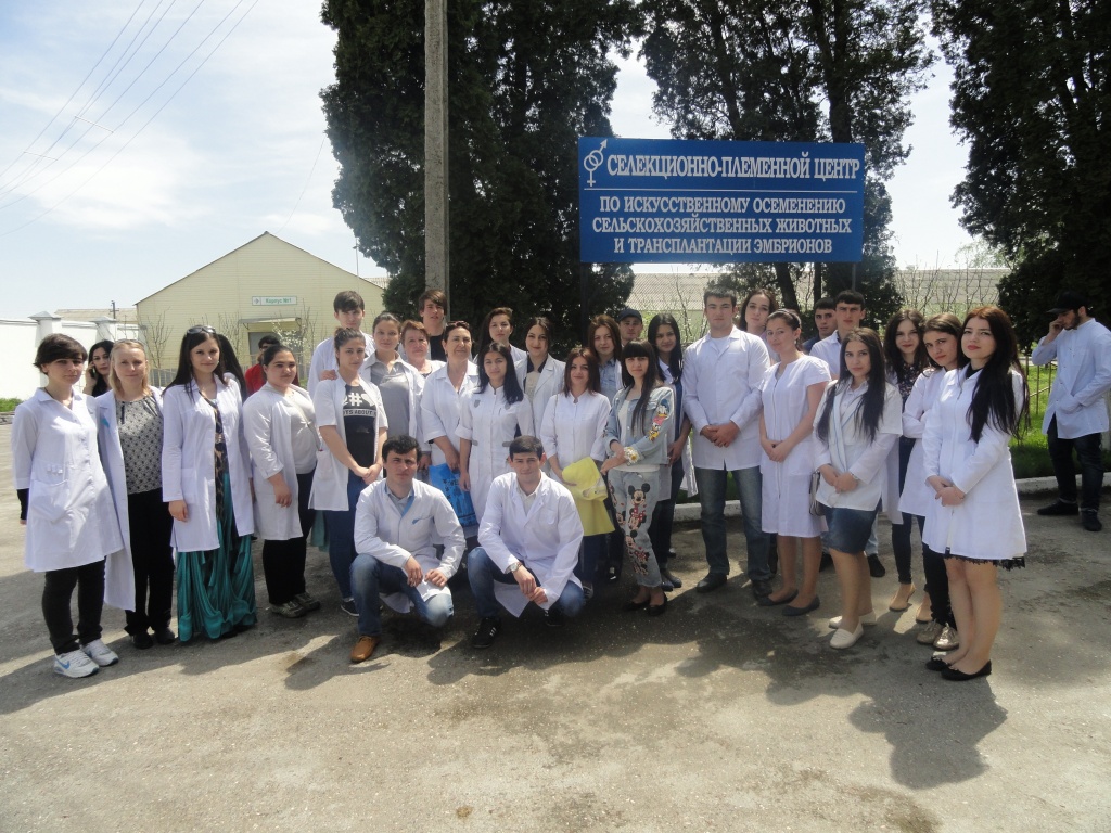 3ee872e8.JPG 3ee872e8.JPG