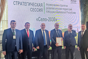Стратегическая сессия «Формирование стратегии развития сельских территорий КБР «Село-2030»