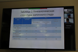 Набирает обороты реализация программы стратегического академического лидерства «Приоритет-2030»