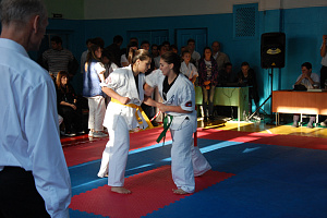 Северо-Кавказские студенческие игры боевых искусств, реализуемые при грантовой поддержке Федерального агенства по делам молодежи (Росмолодежь)