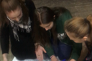 Студенты ОСПО приняли участие в социальном тренинге «7 навыков успеха»