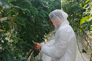 Участие рабочей группы агрономического факультета в программе развития научного центра «Агроинженерия будущего» 