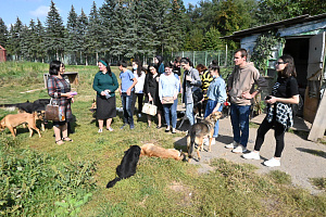 Добровольцы вуза оказали помощь приюту для животных «Четыре лапы»