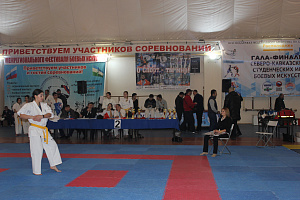 В Нальчике прошли гала-финалы Северо-Кавказских студенческих игр боевых искусств