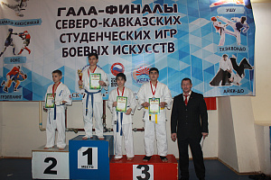 В Нальчике прошли гала-финалы Северо-Кавказских студенческих игр боевых искусств