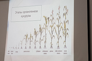 Кабардино-Балкарский ГАУ планирует открытие опорного центра ВИР им. Н.И. Вавилова