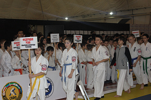 В Нальчике прошли гала-финалы Северо-Кавказских студенческих игр боевых искусств