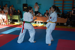 Северо-Кавказские студенческие игры боевых искусств, реализуемые при грантовой поддержке Федерального агенства по делам молодежи (Росмолодежь)