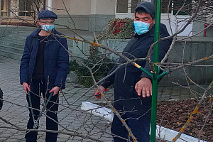 На агрономическом факультете прошел тренинг по формированию кроны деревьев в интенсивных садах
