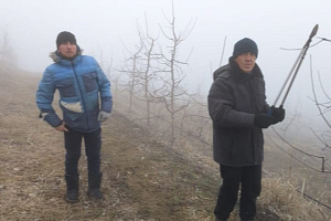 Изучили инновационные технологии ухода за плодовыми насаждениями