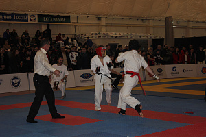 В Нальчике прошли гала-финалы Северо-Кавказских студенческих игр боевых искусств