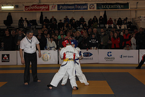 В Нальчике прошли гала-финалы Северо-Кавказских студенческих игр боевых искусств