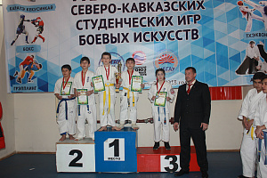 В Нальчике прошли гала-финалы Северо-Кавказских студенческих игр боевых искусств