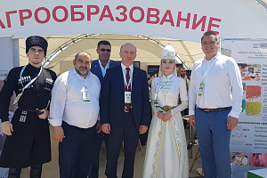 В Ставропольском крае прошёл Всероссийский день поля