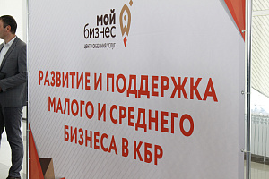 На площадке Агропромышленного бизнес-инкубатора прошли выставка и «круглый стол»