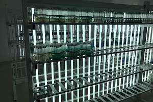 Ректор Кабардино-Балкарского ГАУ ознакомился с инновациями в картофелеводстве