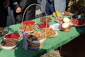 Открытие Межрегионального молодежного форума инновационных проектов «Энергия роста», реализуемого при грантовой поддержке Федерального агенства по делам молодежи (Росмолодежь), и сельскохозяйственной выставки «Золотая осень Кабардино-Балкарского ГАУ»