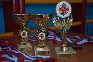 Северо-Кавказские студенческие игры боевых искусств, реализуемые при грантовой поддержке Федерального агенства по делам молодежи (Росмолодежь)