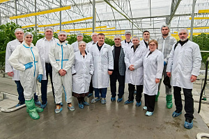 Агро-айти альянс: в «Эко-культуре» создают базу данных для «умной» защиты томатов