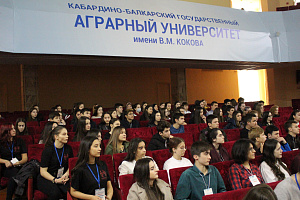 Молодёжь Нальчика выводит формулу успеха