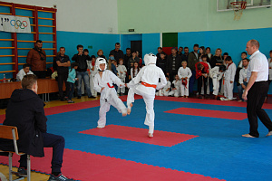 Северо-Кавказские студенческие игры боевых искусств, реализуемые при грантовой поддержке Федерального агенства по делам молодежи (Росмолодежь)