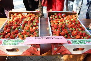 Открытие Межрегионального молодежного форума инновационных проектов «Энергия роста», реализуемого при грантовой поддержке Федерального агенства по делам молодежи (Росмолодежь), и сельскохозяйственной выставки «Золотая осень Кабардино-Балкарского ГАУ»