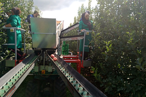 Конференция по развитию садоводства