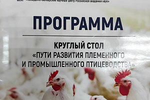 В Кабардино-Балкарском ГАУ обсудили пути развития племенного и промышленного птицеводства